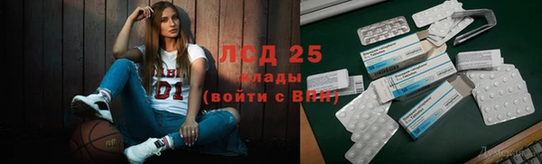стафф Алексин