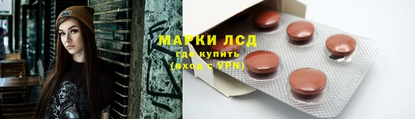 стафф Алексин
